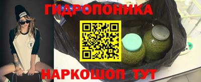 гидропоника Гусиноозёрск