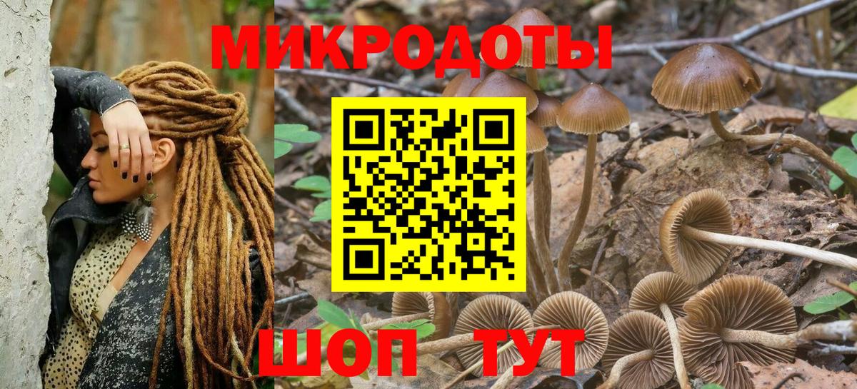 цены наркотик  Псилоцибиновые грибы мухоморы  Вход с VPN  Псилоцибиновые грибы Cubensis  Мирный 