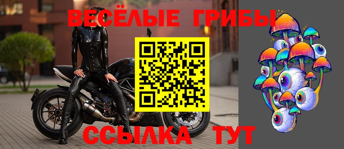 Галлюциногенные грибы Psilocybe Мирный
